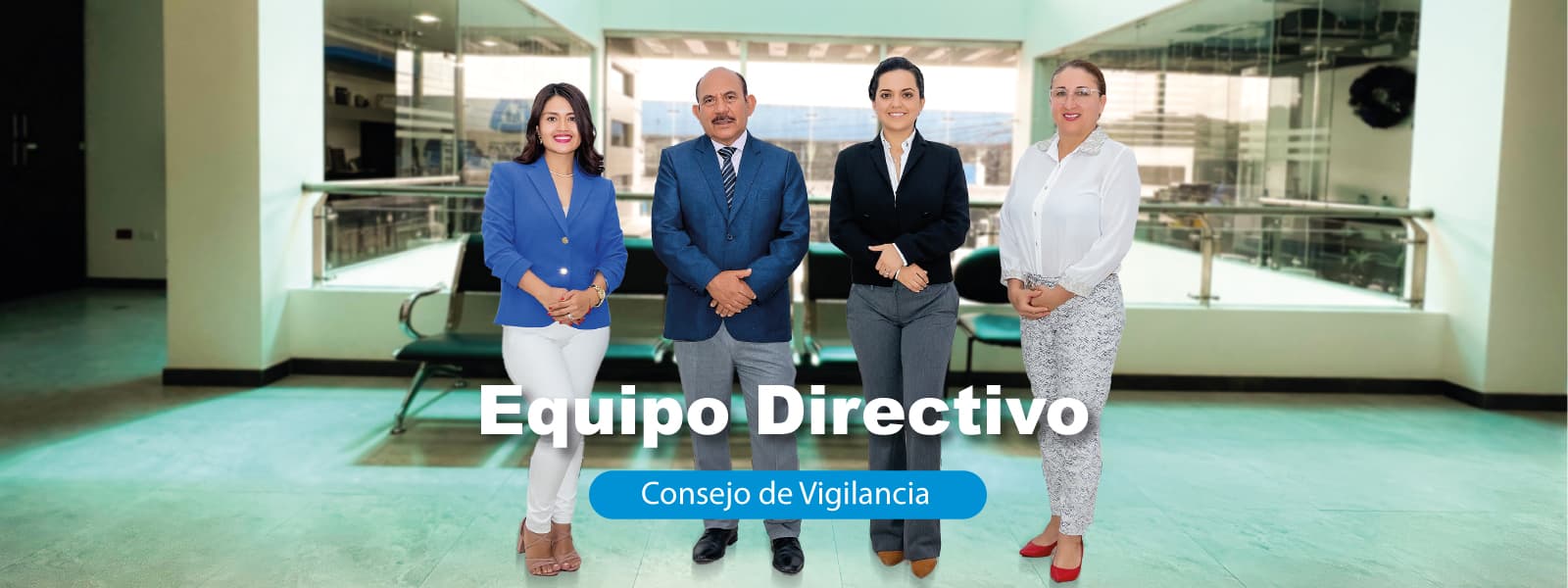 Consejo de Vigilancia